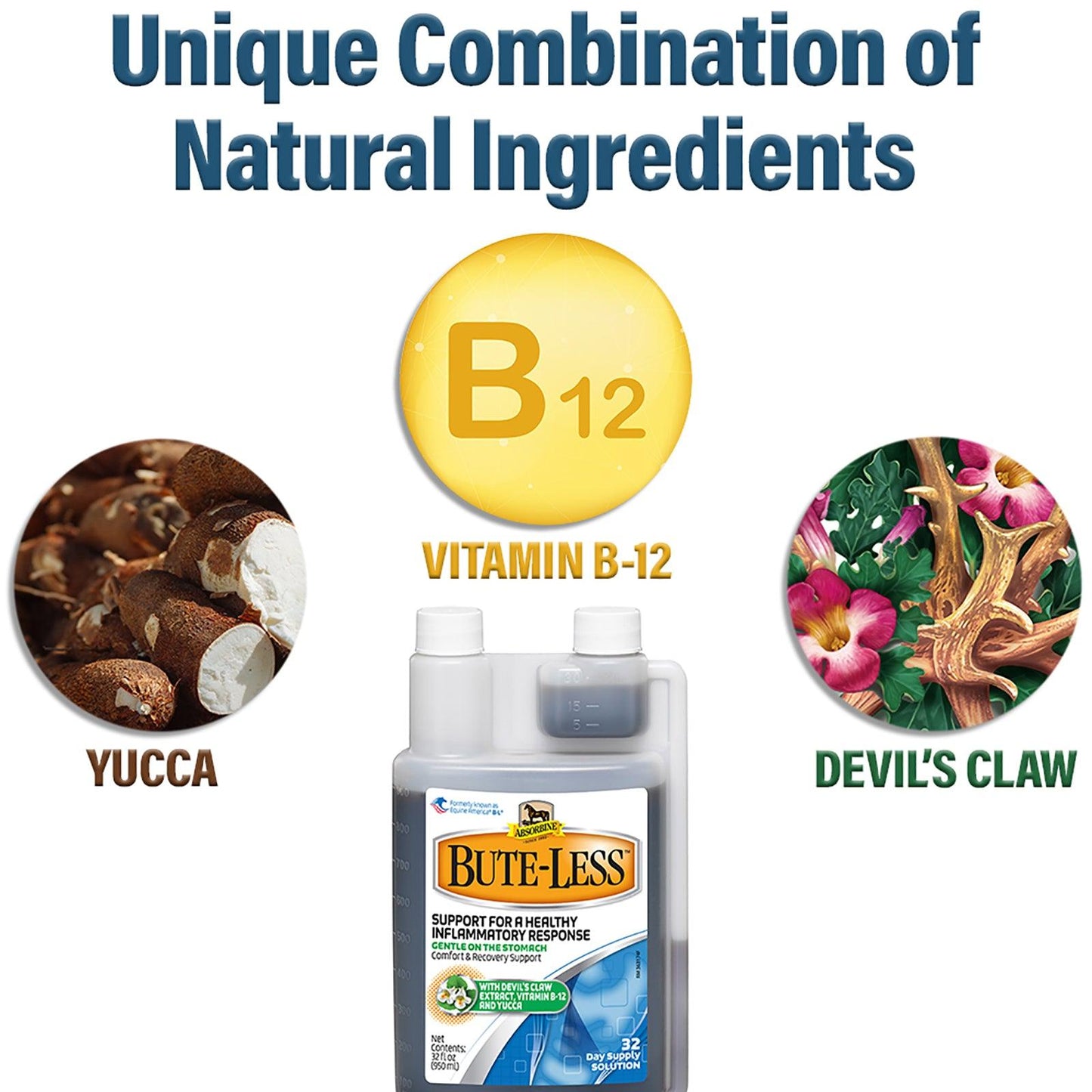 Bute-Less® Comfort & Recovery Supplement Solution Supplements absorbine   