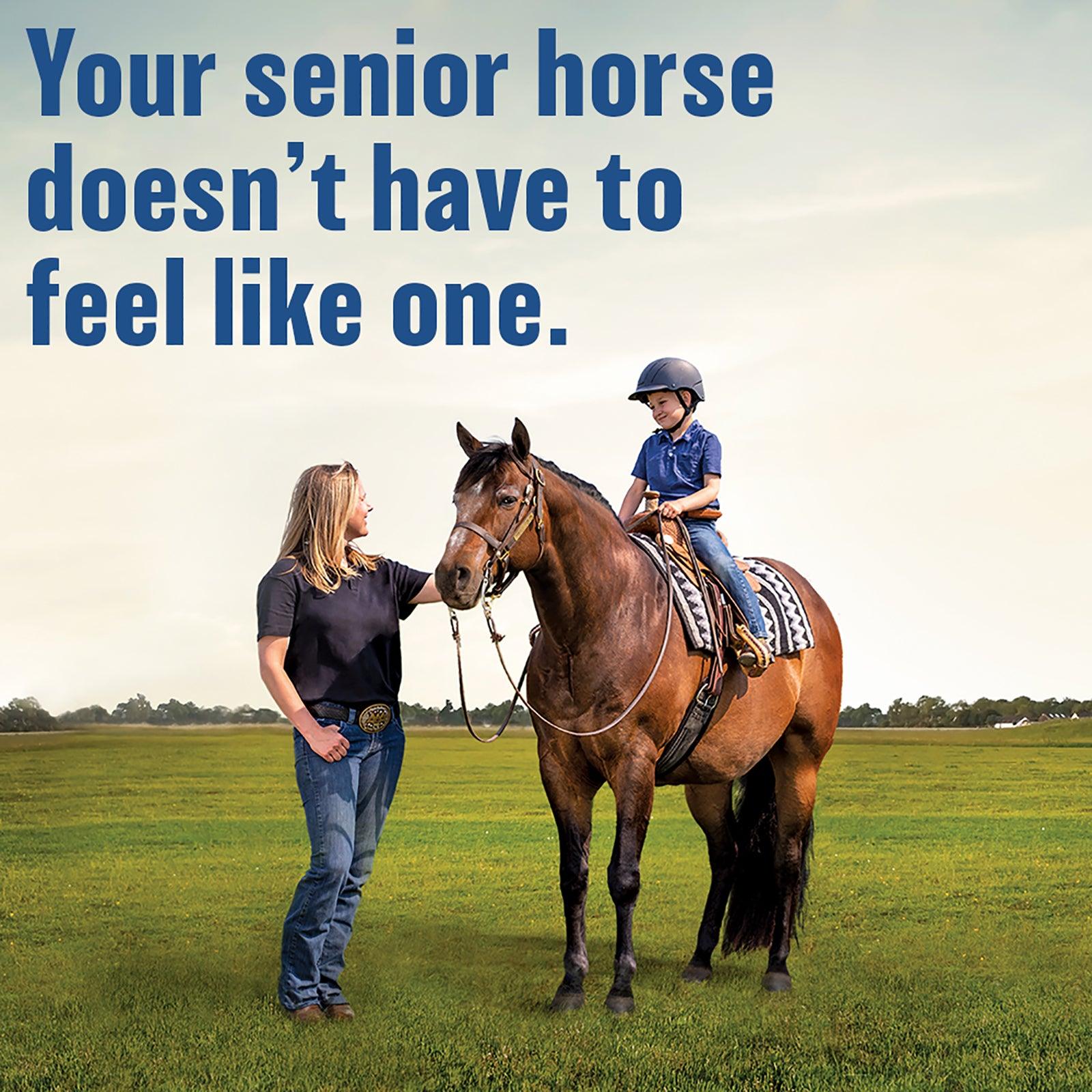 Woman holding a full size senior horse with a little boy on the saddle riding the horse. Bute-less supplement "Your senior horse doesn't have to feel like one". 