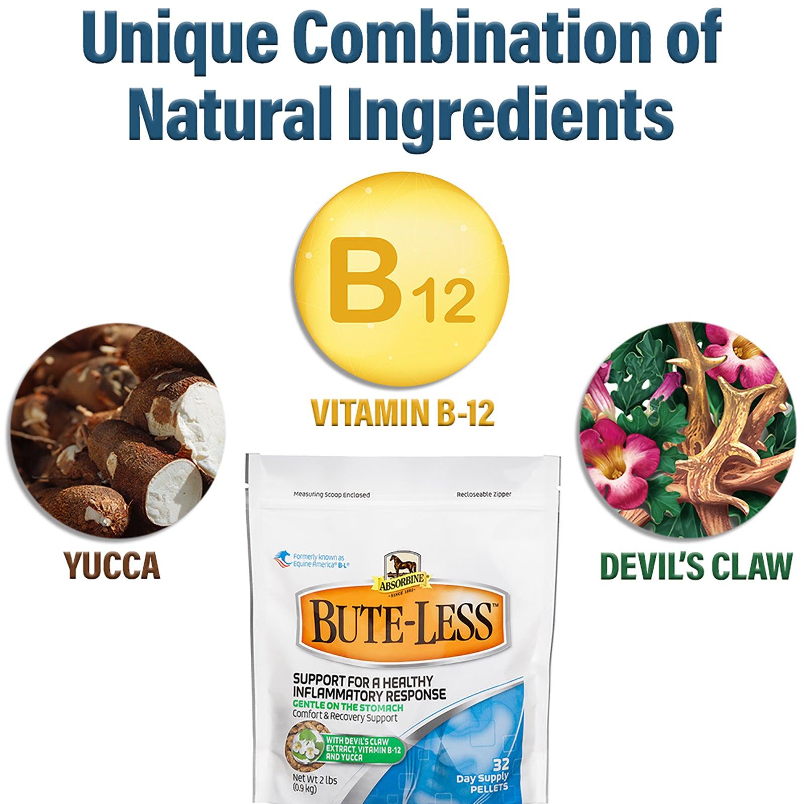 Bute-less a unique combination of natural ingredients containing Yucca, Vitamin B-12, and Devil's Claw
