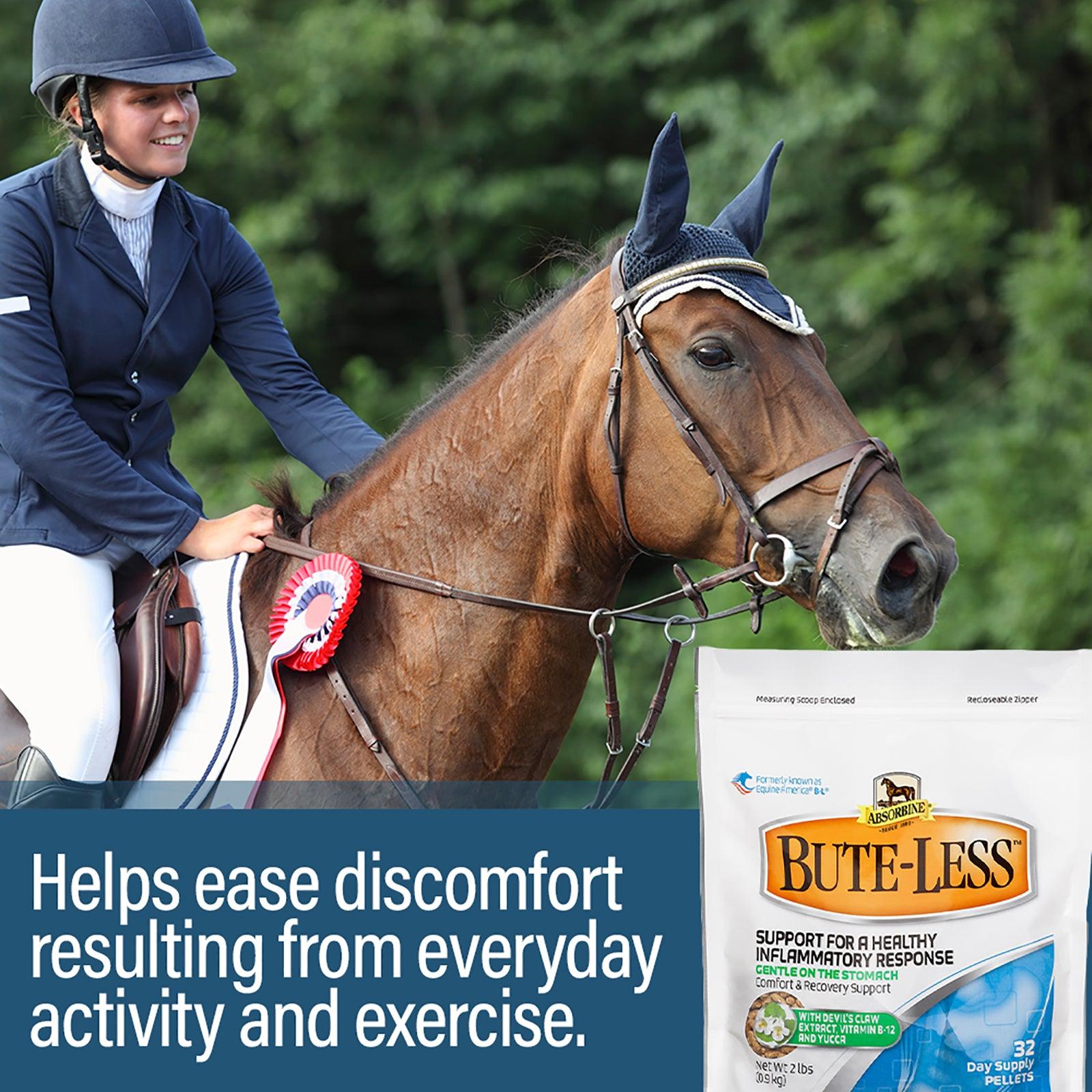 A woman riding a horse with a ribbon on its halter. Bute-less supplement helps ease discomfort resulting from everyday activity and exercise.  