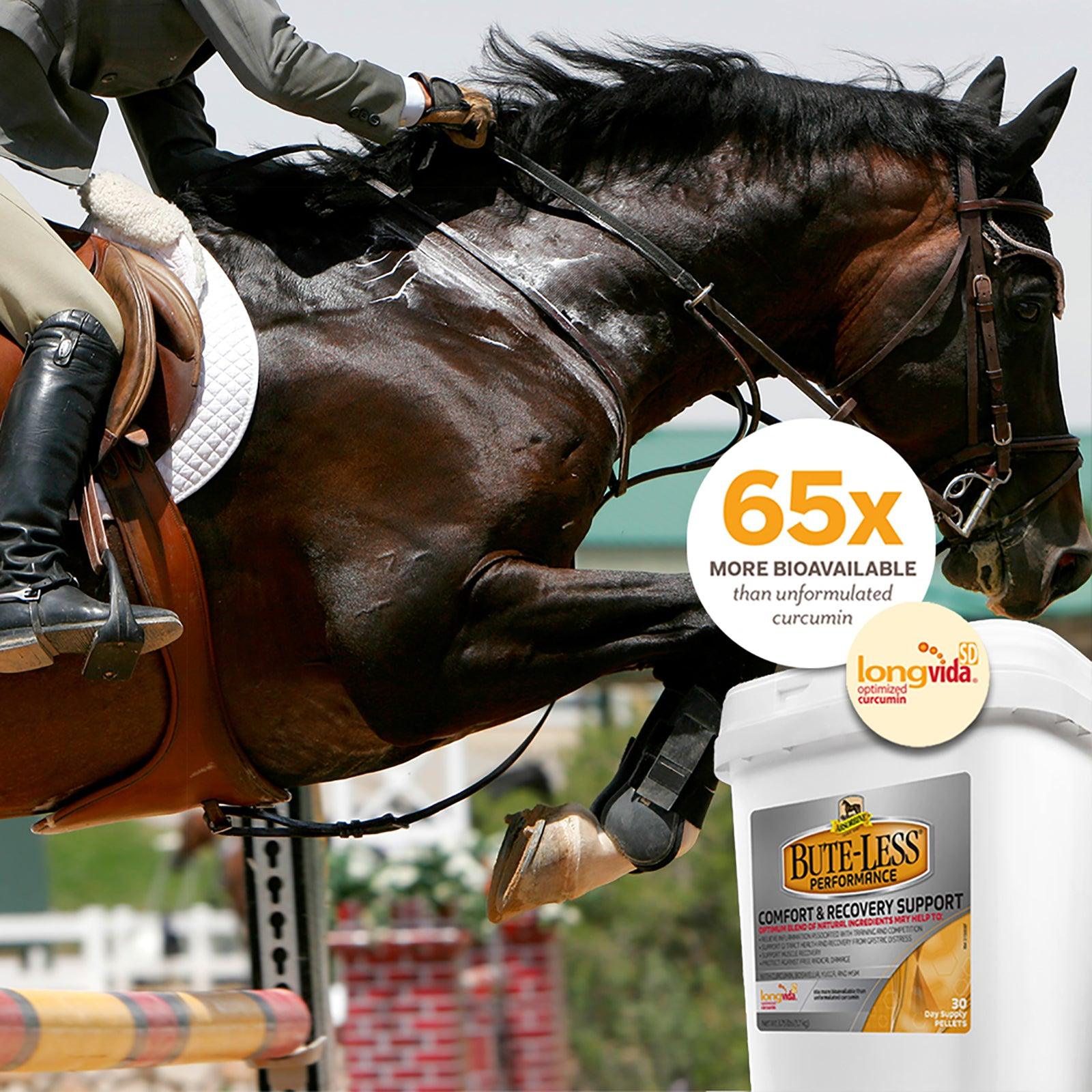 Bute-Less® Performance Comfort & Recovery Supplement Pellets Supplements absorbine   