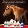 Chestnut colored horse standing in back of the full line of Showsheen products.