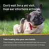 Pug scratching his red irritated ear. Don't wait for a vet visit. Heal ear infections at home. Take healing into your own hands. Silver Honey's fast-acting, vet-strength over-the-counter treatment provides immediate relief and heals in 10 days.