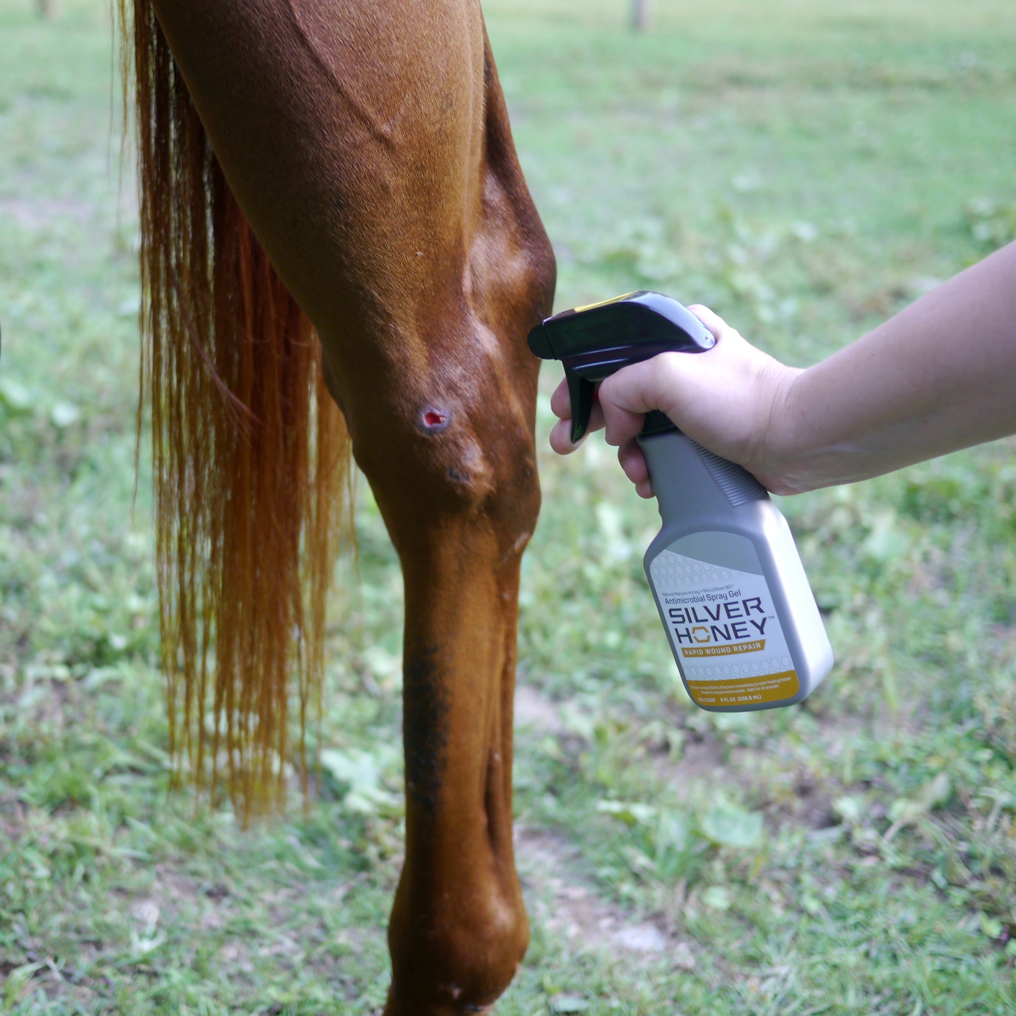  Absorbine Silver Honey Rapid Wound Repair Ointment, Manuka  Honey & MicroSilver BG, Veterinarian Tested Horse & Animal Wound Care, 2oz  Tube : Pet Supplies